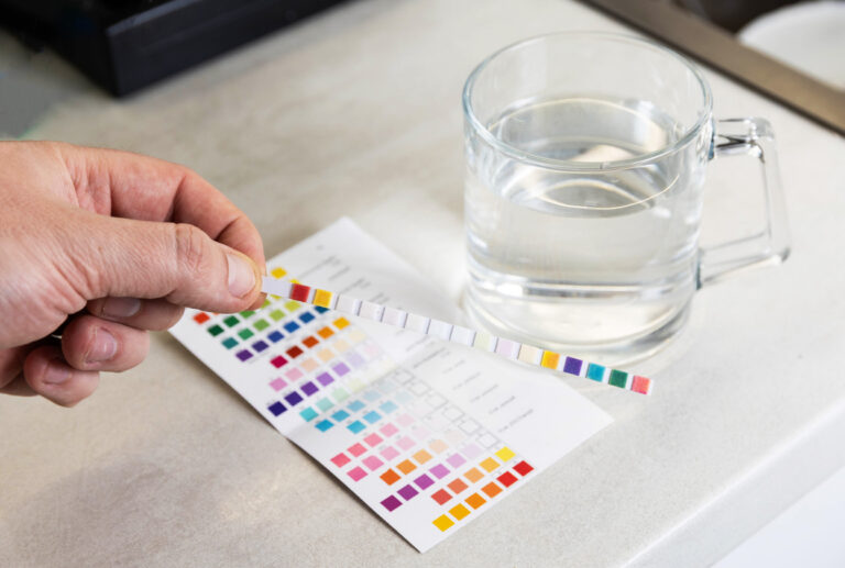 Close-up view of hand holding chemical test strip